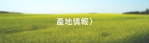 產地情報